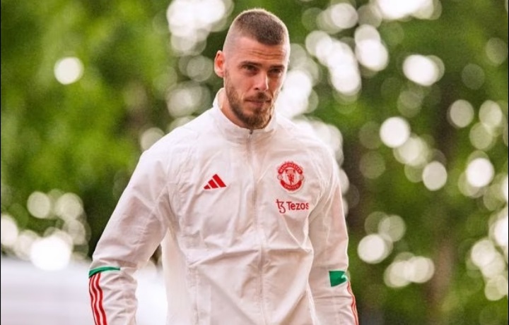 David de Gea’s Instagram story excite Manchester United supporters.