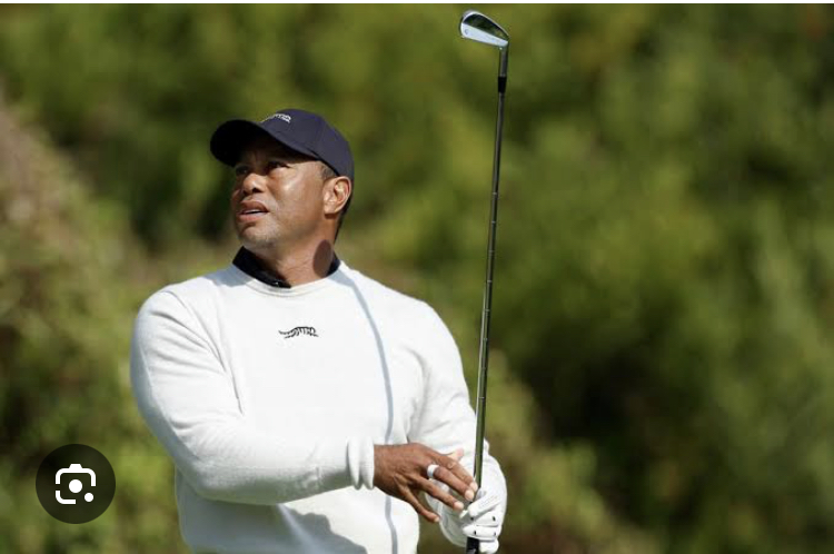 Disaster: Tiger woods head coach contract has been Terminated today after a background argument with management about….